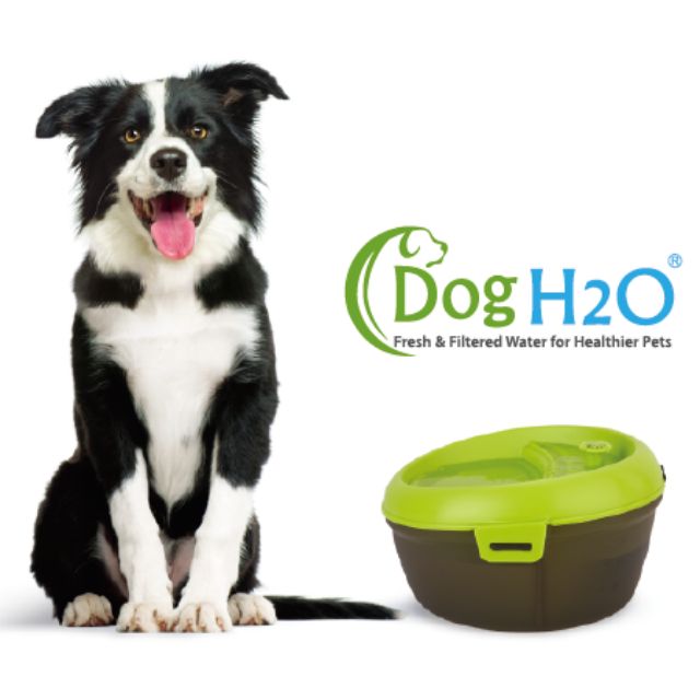 Dog H2O Drinking Fountain Shopee Philippines
