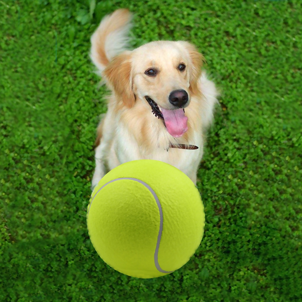 big tennis ball for dogs