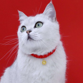 Pet Red Rope Woven Adjustable Collar Pet Collar #6