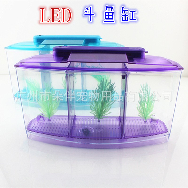 fish tank for betta fighting fish