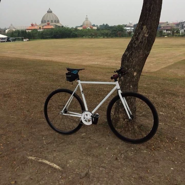 fixie celt