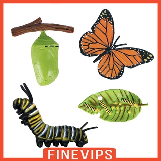 【Finevips】 Simulation Butterfly Growth Life Cycle Figures Imagination