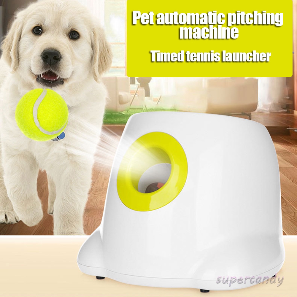 dog pitching machine