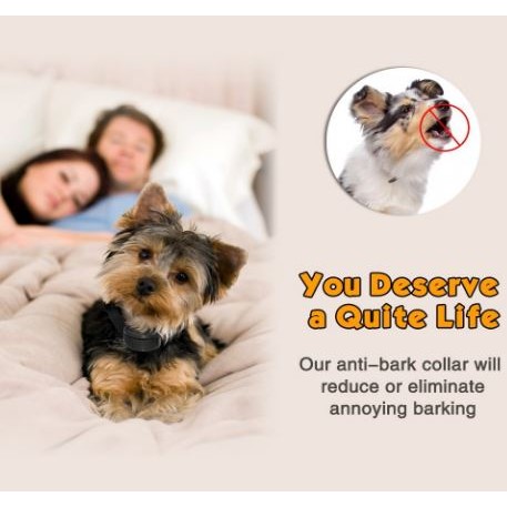 petrainer pet853 bark collar