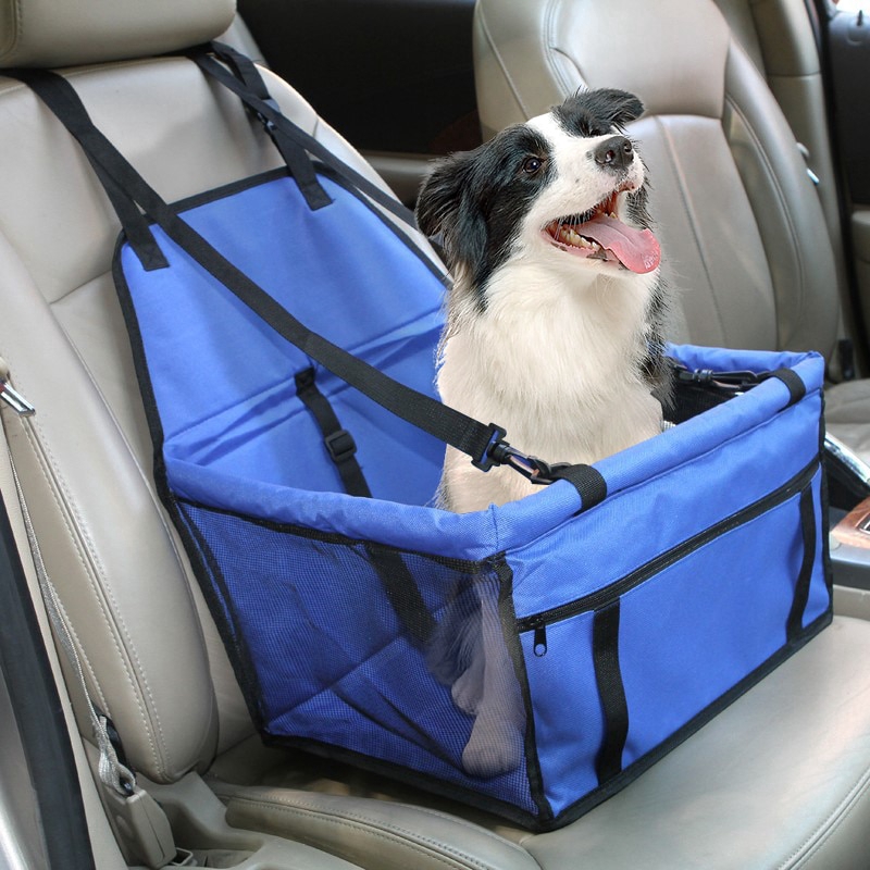 safest dog carrier for car