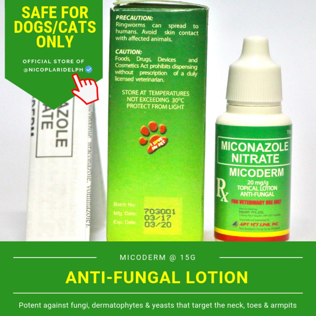 my dog ate antifungal cream