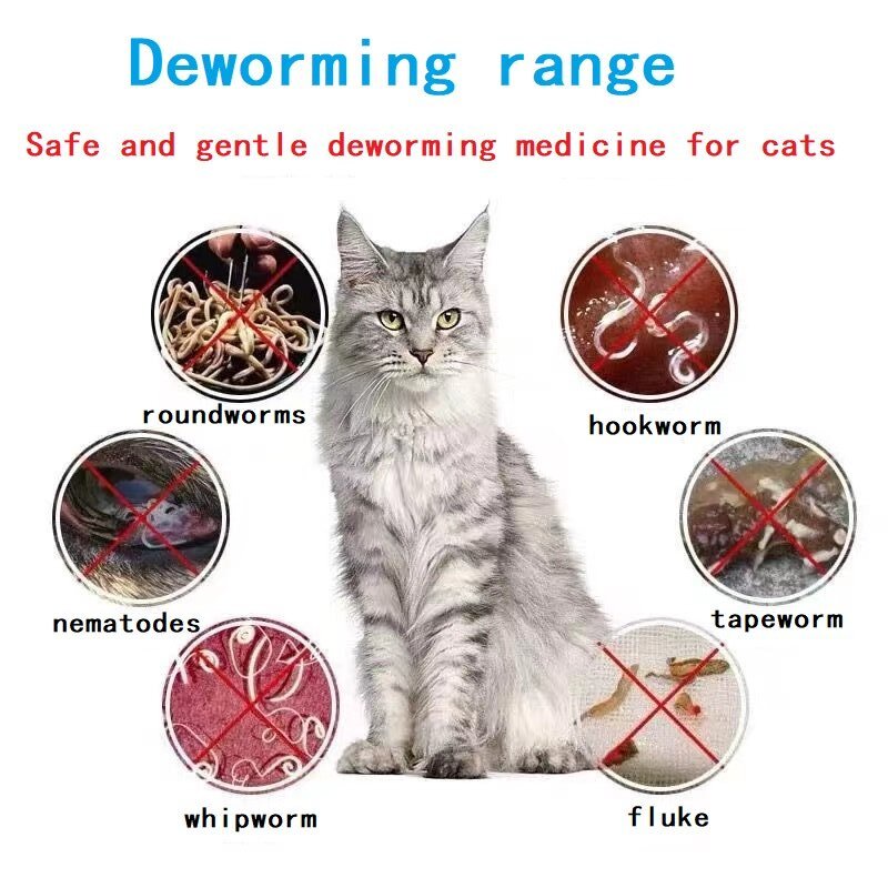 Drontal Cat 1 Box of 24 Delicious Deworming Tablets Cat Deworming Tablets #4