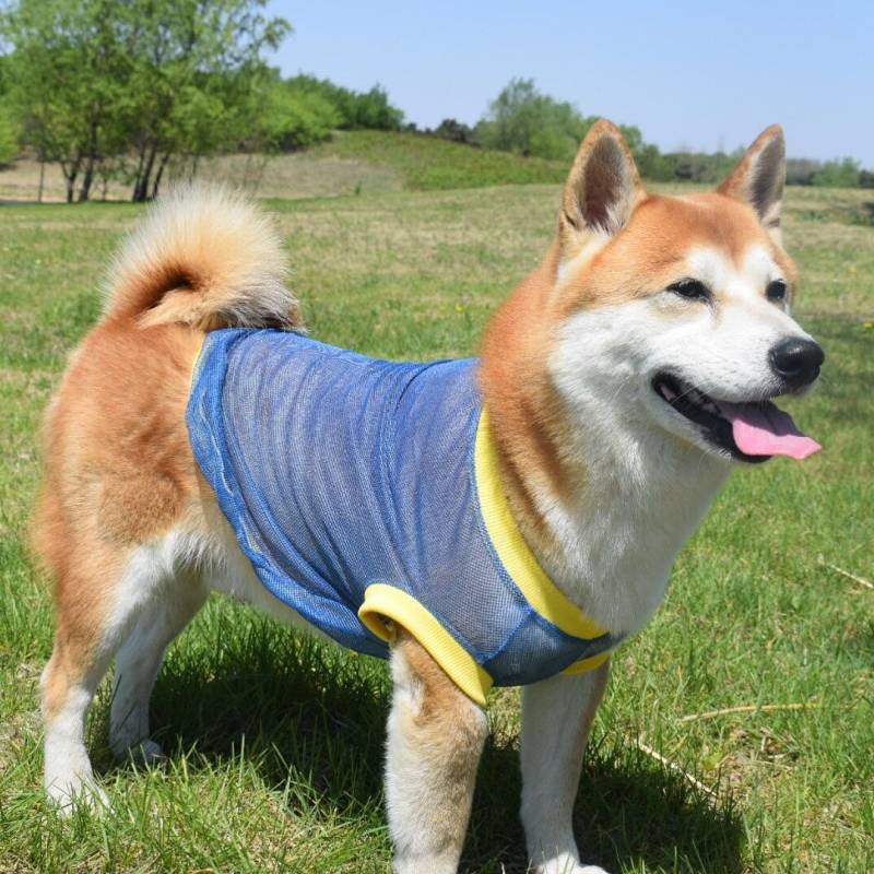 Summer New Dog Anti-Lint Cool Mesh Vest Shiba Inu Akita Pastoral Golden Retriever Samo Husky Clothes YSKl #6