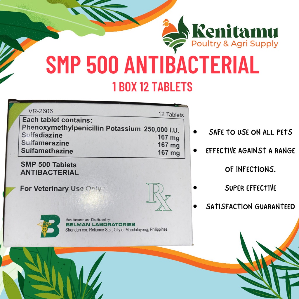SMP 500 ANTIBACTERIAL (1 BOX 12 TABLETS) SMP 500 ANTIBACTERIAL (1 BOX 12 TABLETS) Shopee