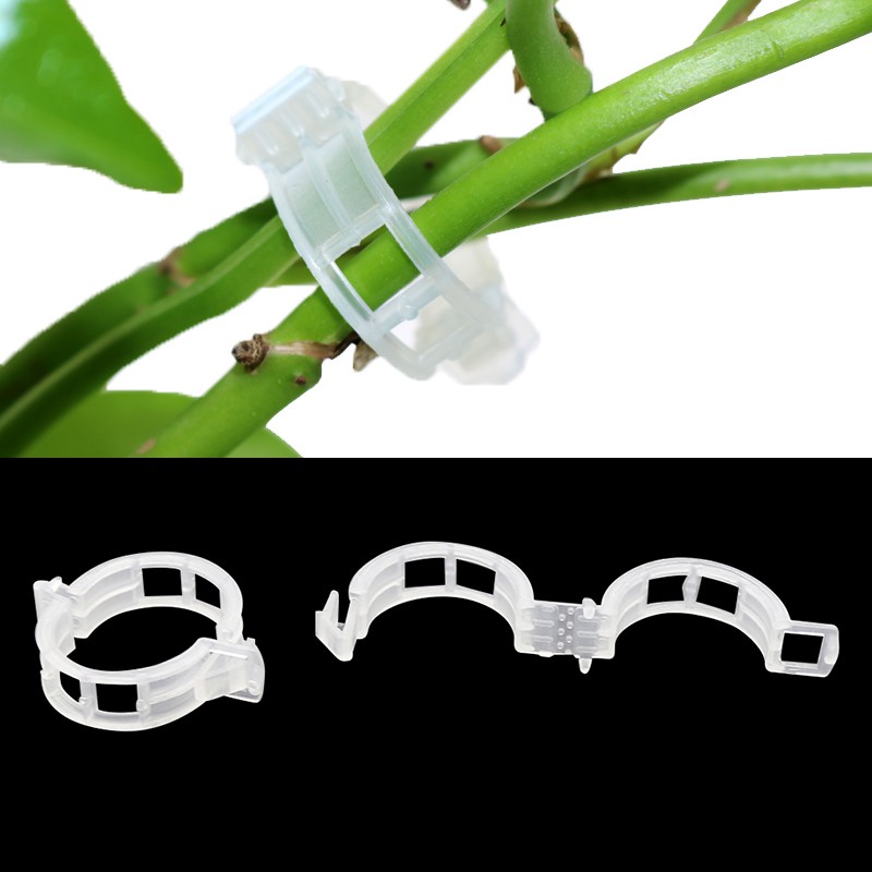 100 Pcs Garden Plants Fixing Clips Garden Plants Flowers Bundle Branch ...