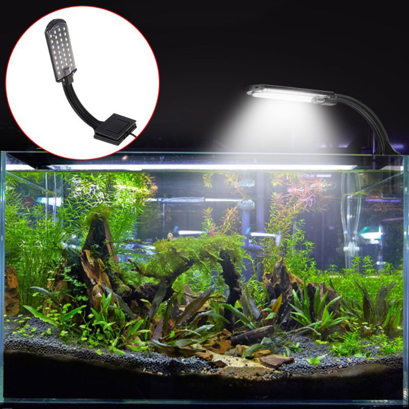 aquarium heaters australia