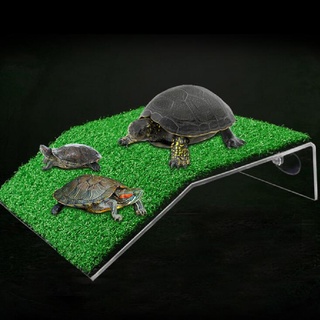 RICHTRY Turtle Basking Drying Platform Suction Cup Tortoise Climbing for Fish Tank . #5