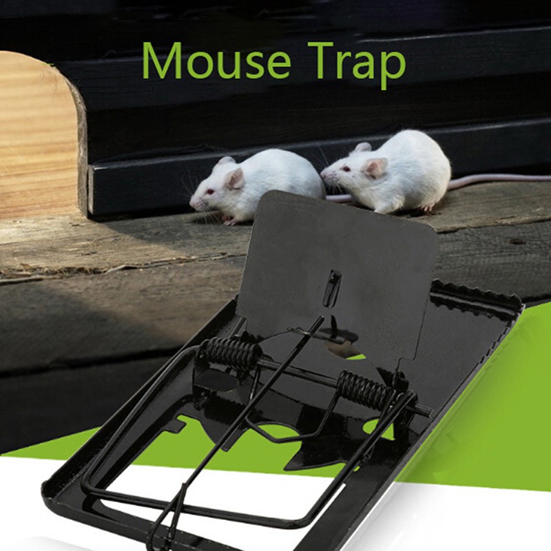 mouse traps for sale
