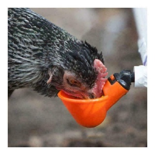 DAPHNE 10/20 Pcs Hot new Plastic Automatic Drinker Quail Plastic Poultry Water Drinking Cups Bird Chicken Coop Feed Farm Fowl Bowl Automatic Chicken Hen #4