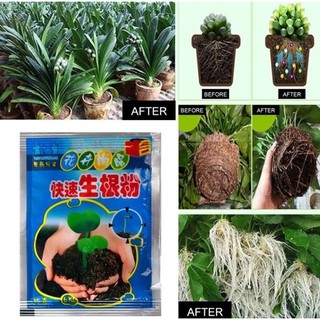 1 pack COD Rapid Growth Root Medicinal Hormone Regulators Garden Rooting Powder #2