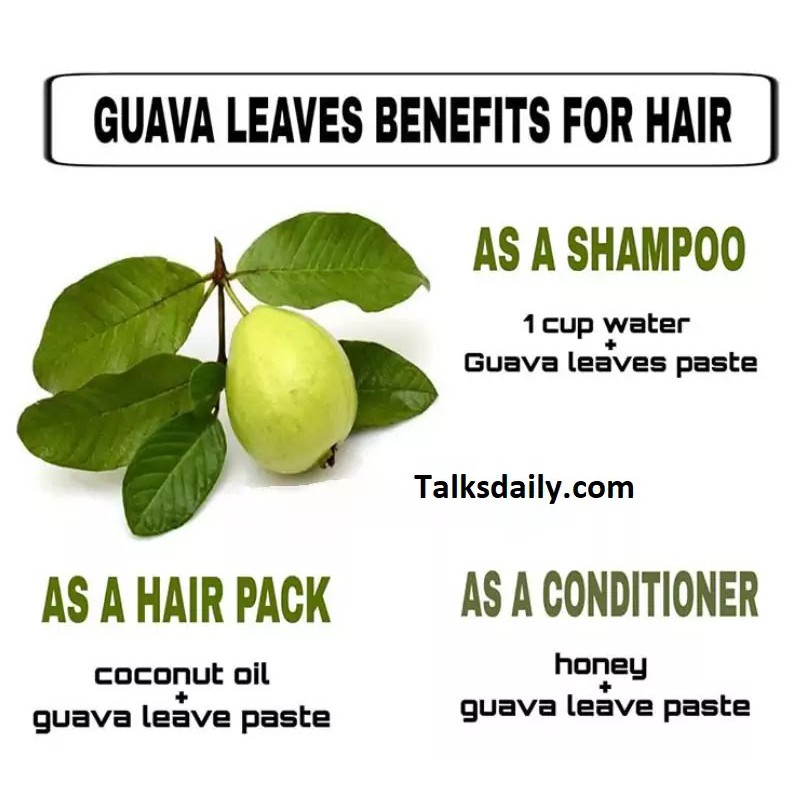Guava Tea Powder Men Women COD | Shopee Philippines