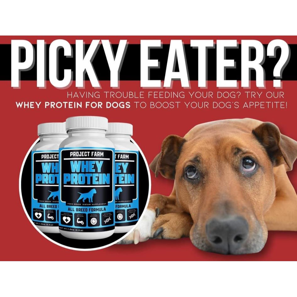 can you give your dog whey protein