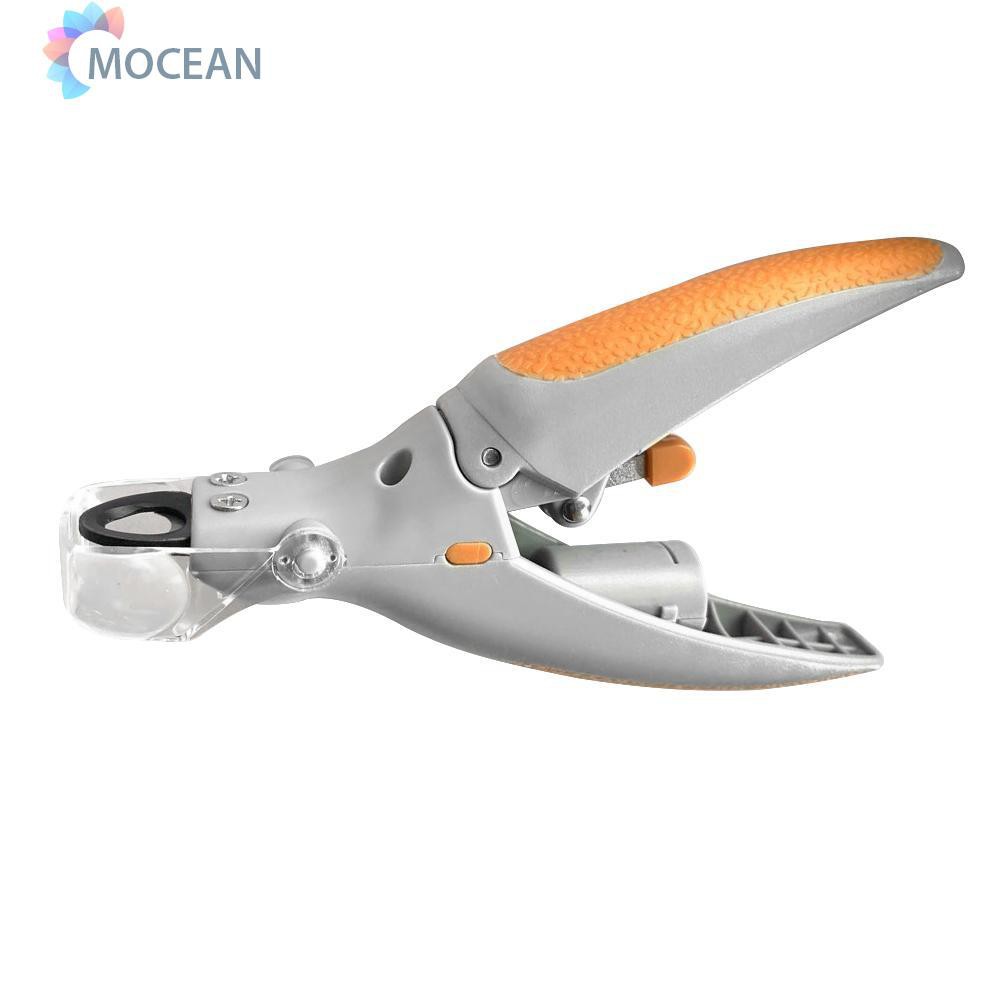 nail scissors for dogs