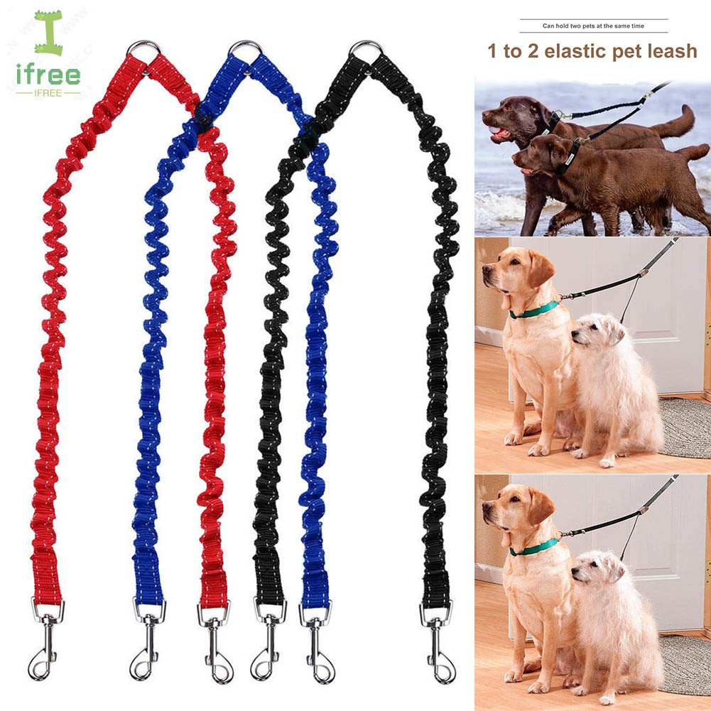 outdoor dog lead