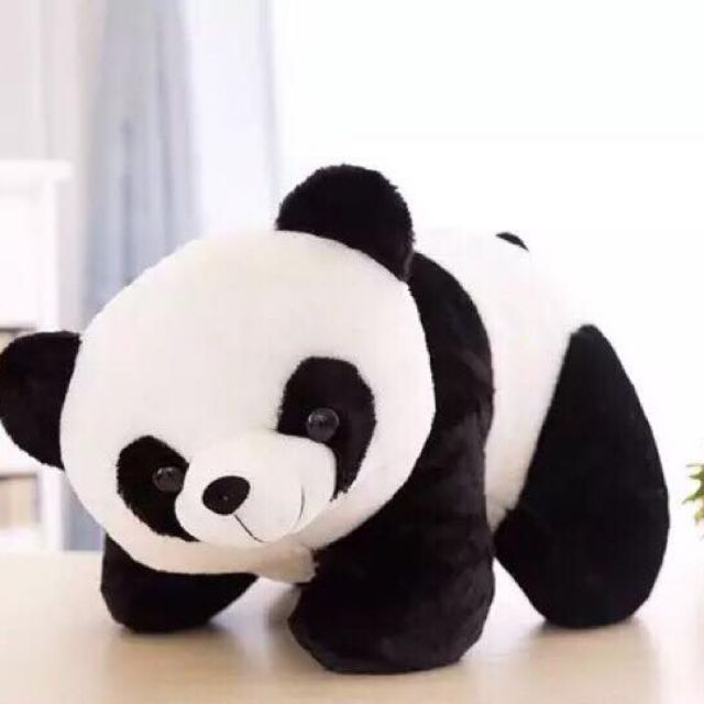 panda bear soft toy