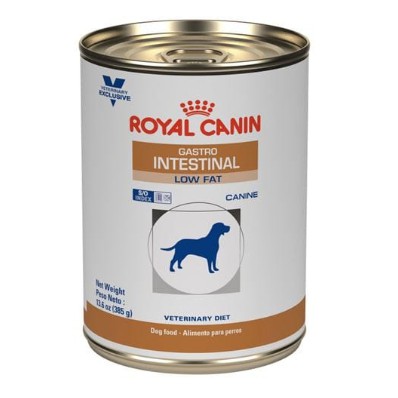 gastro intestinal royal canin cat