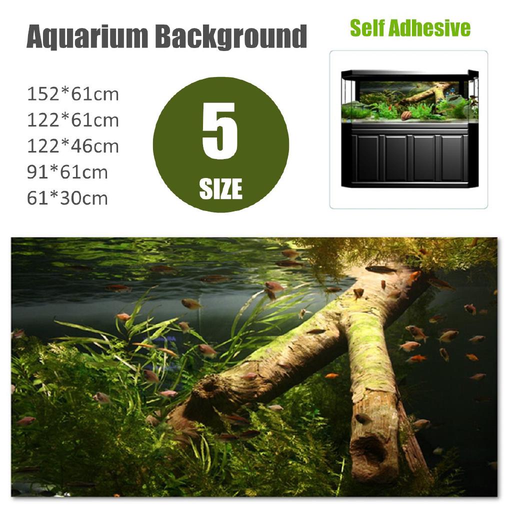 Download 460 Koleksi Background Grass Aquarium Gratis