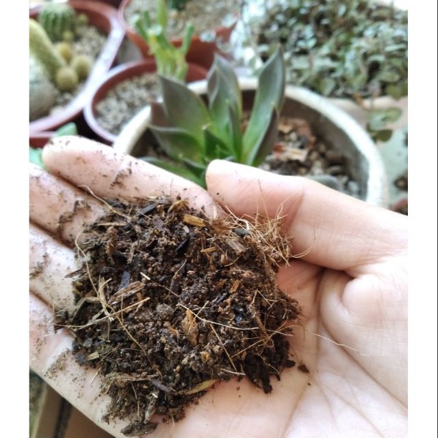 Organic Potting Mix For Your Plants Shopee Philippines