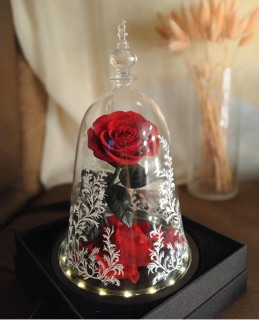 Preserved Eternal Rose Beauty And The Beast Inspired Enchanted Rose Shopee Philippines Perfect keepsake of the occasion! shopee