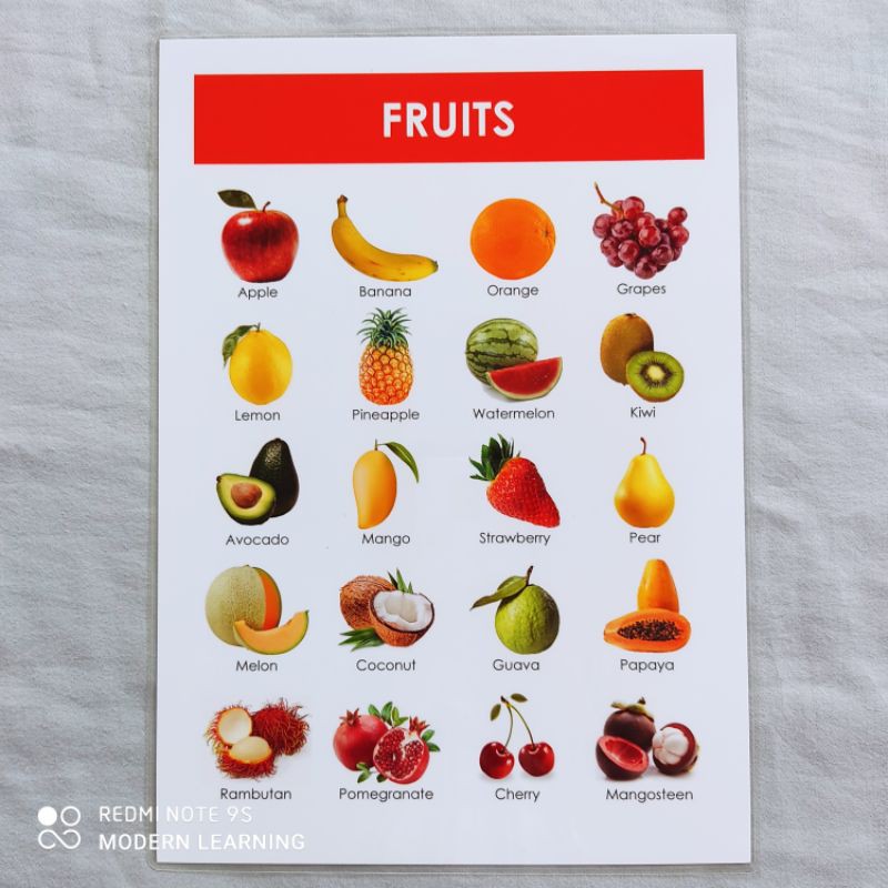 Laminated Fruits Chart A4 Shopee Philippines