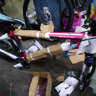 trinx bike pink