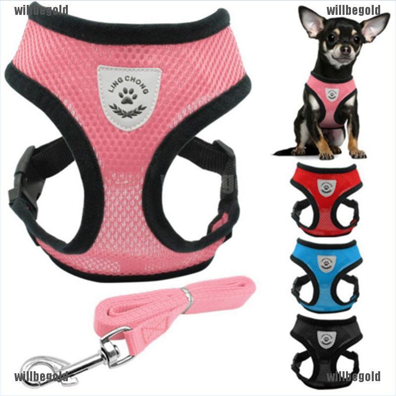 dog collar harness and leash set