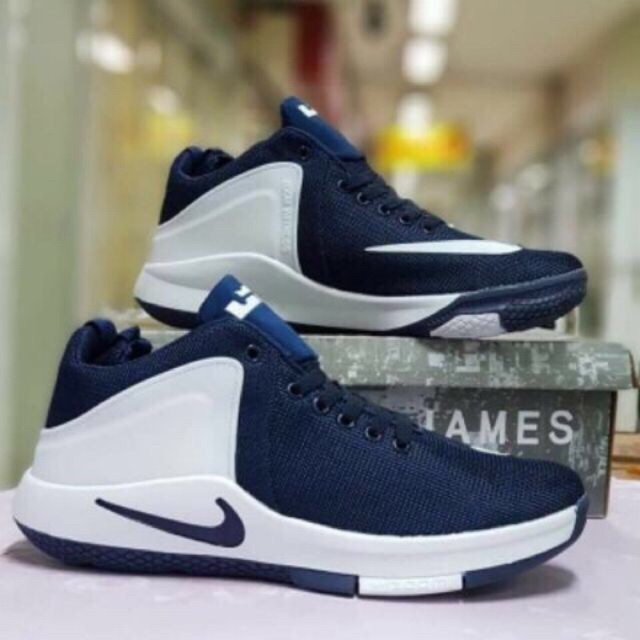 men's lebron james basketball shoes