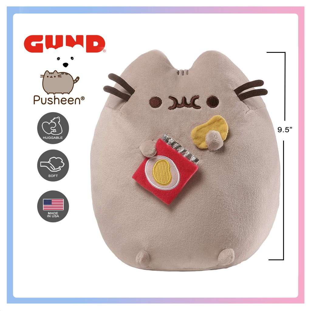 pusheen chip