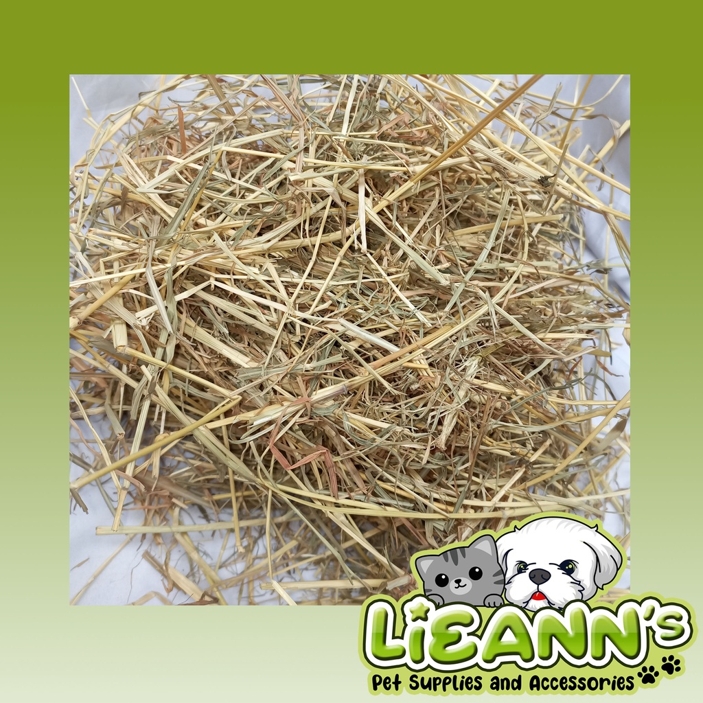 Star Grass Hay For Rabbit Guinepig Horse Etc. 1KG Shopee Philippines