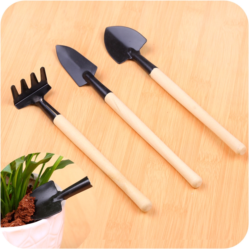Gardening Threepiece Mini Garden Tools Succulent Plant