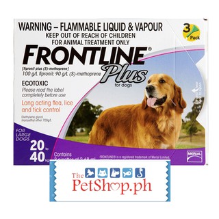 frontline pregnant dog