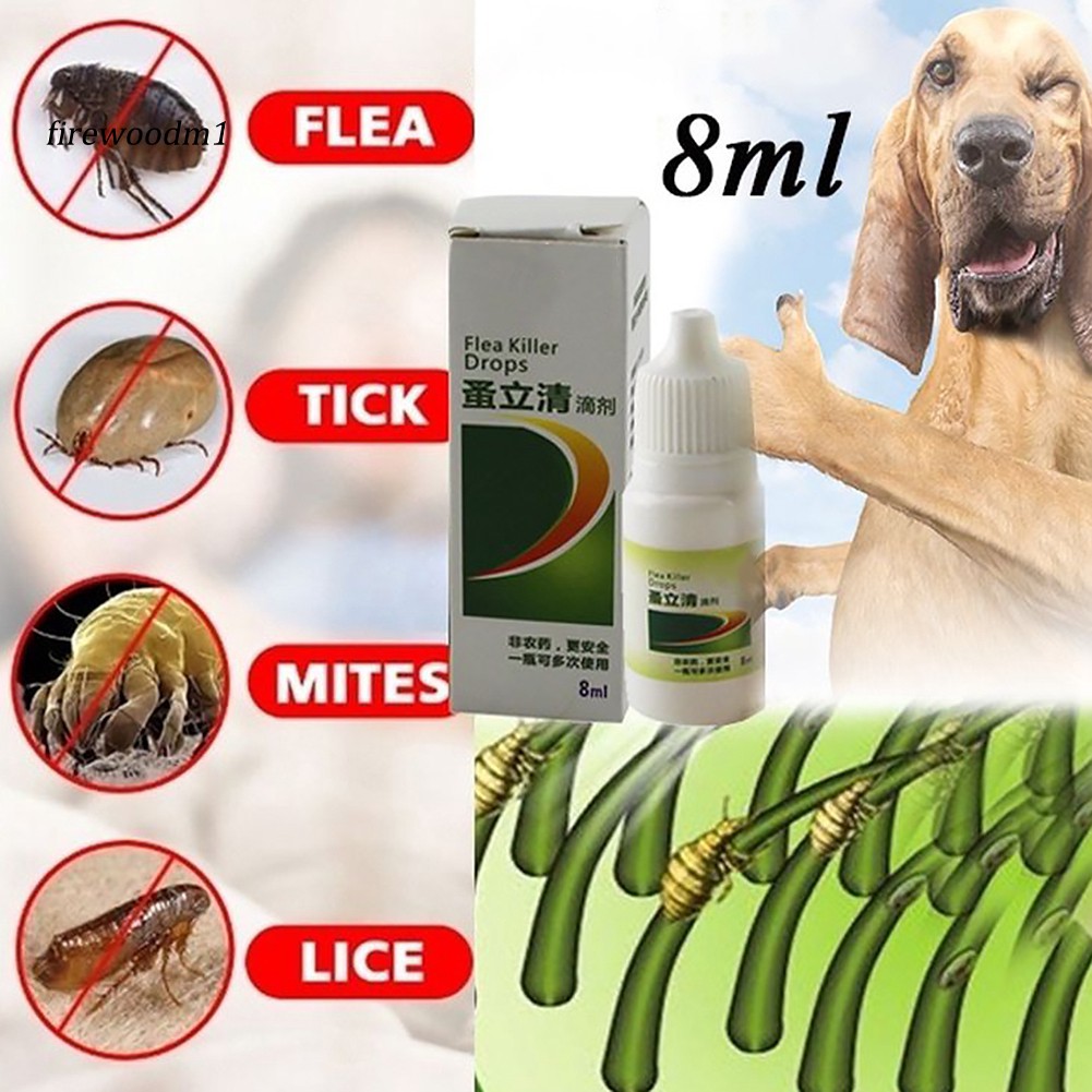 feline lice treatment