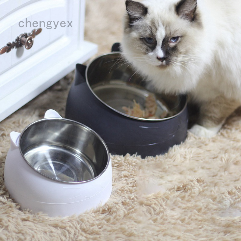 stainless cat bowls