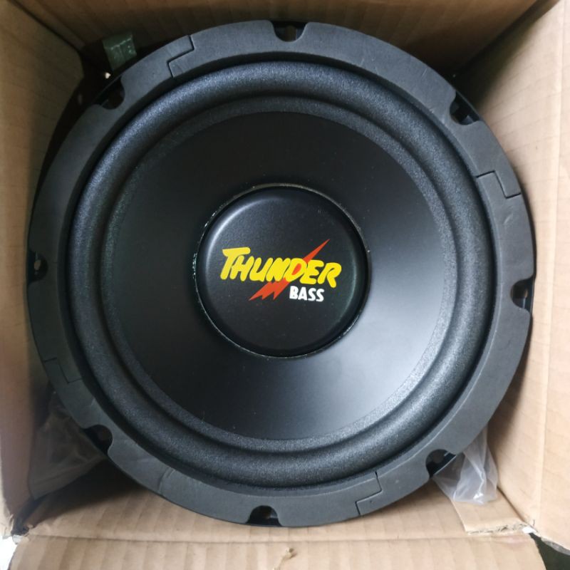 speaker thunder 10 inch