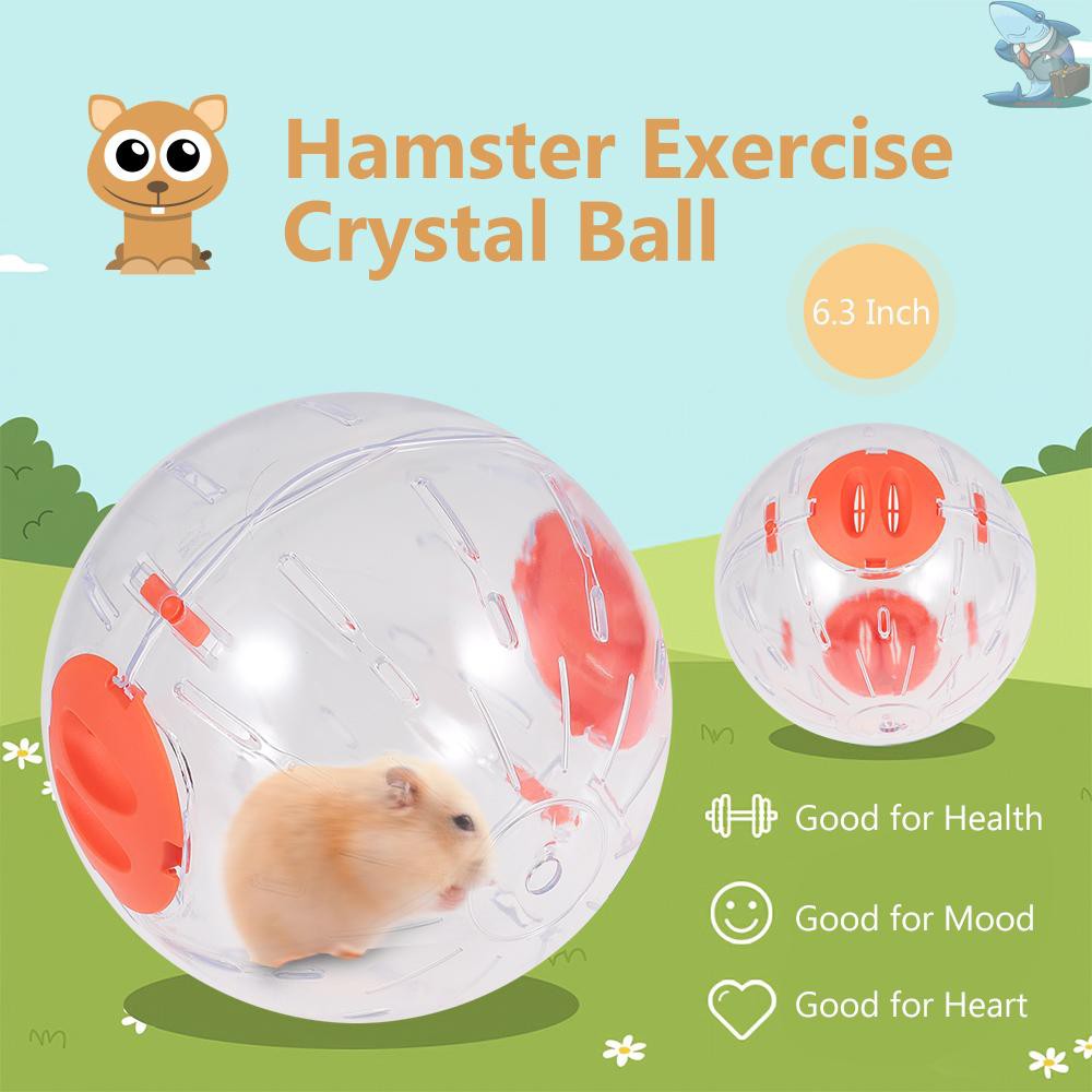 hamster ball shopee