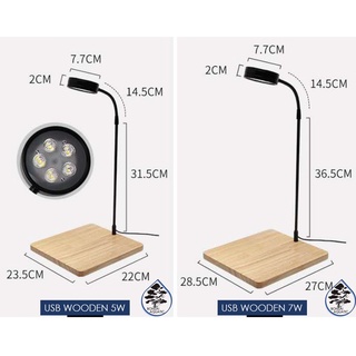 LED Light Stand with Wooden Base for Indoor Succulent Plant Display, Wabi Kusa, Jarrarium, Mini Bett #8