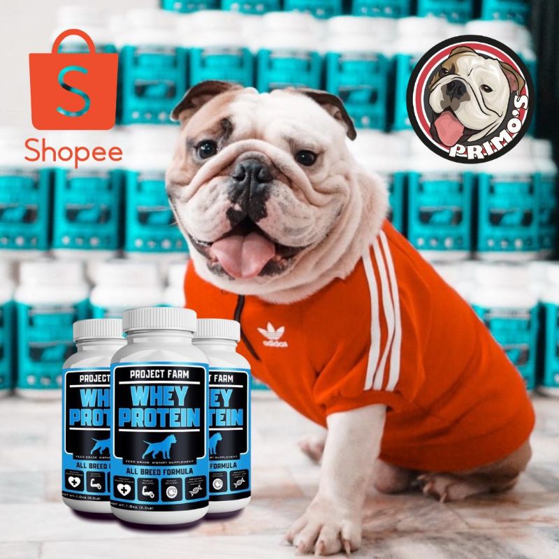 can you give your dog whey protein