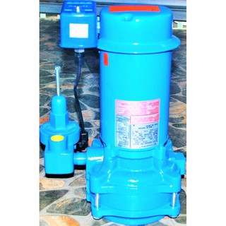 Goulds Sj10 Vertical Jet Pump