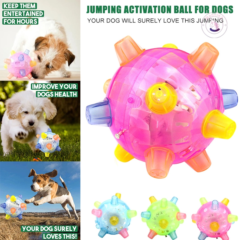 pup jumping activation ball