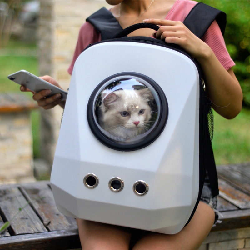 cat travel backpack