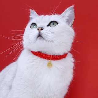 Pet Red Rope Woven Adjustable Collar Pet Collar #8