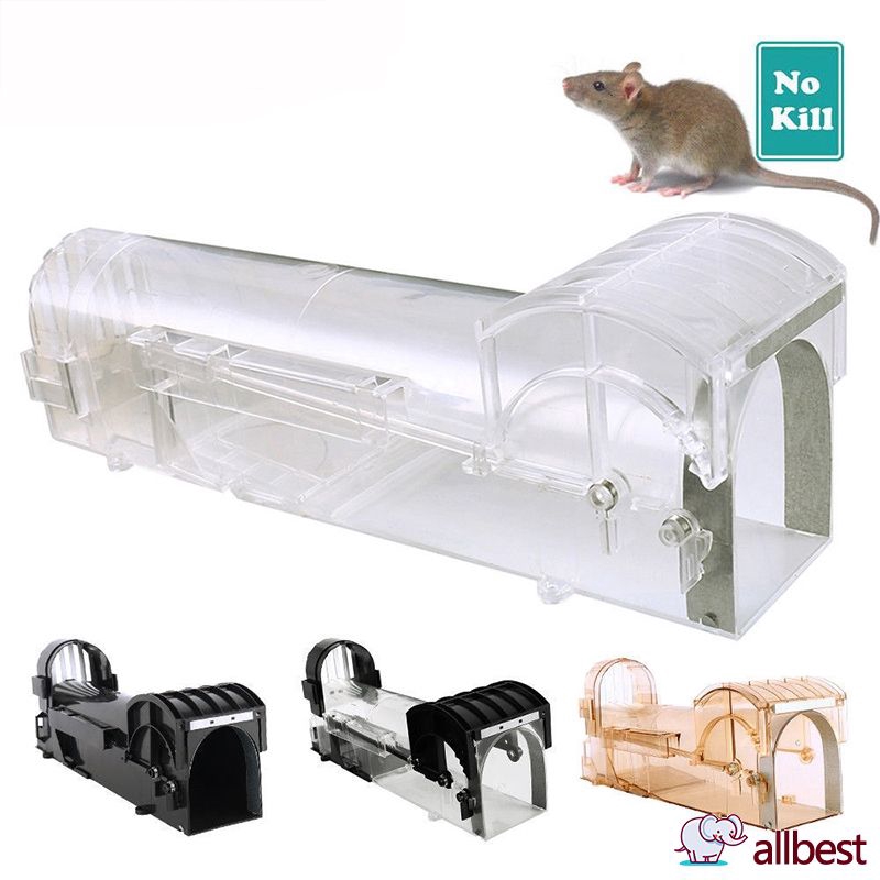 no kill rat trap