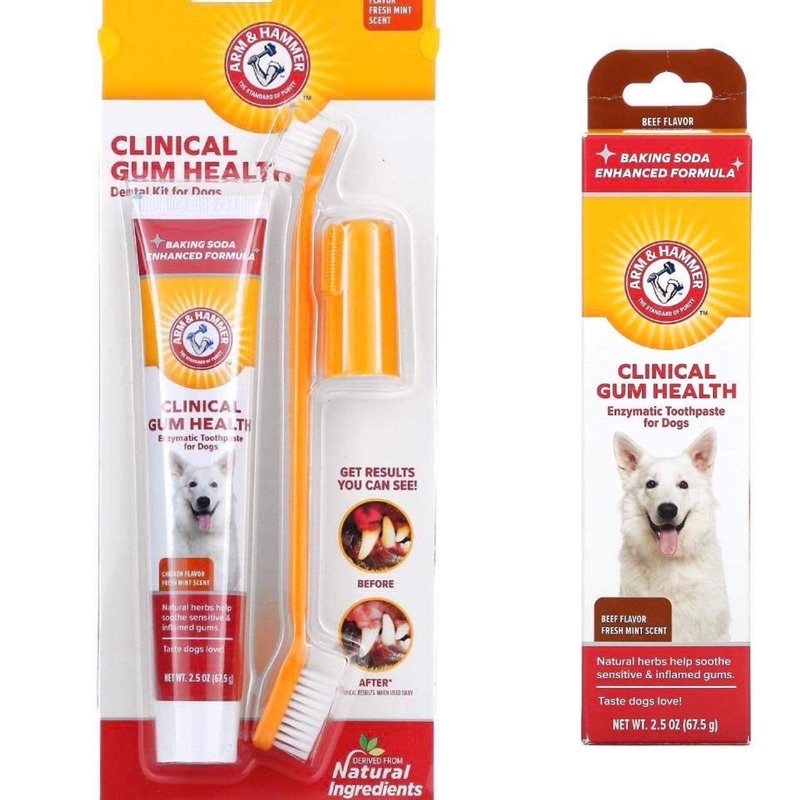Arm & Hammer Clinical Gum Health, Dental Kit & Tothpaste for Dogs, 2