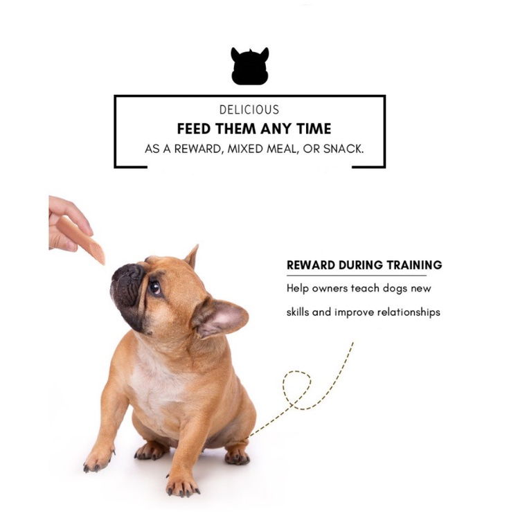 TERKE Pet food Dog Treats Pet Dog Sausage 15g Cat Sausage Pet Snack Cat Dog Food Treats Ham Dog Trai #6