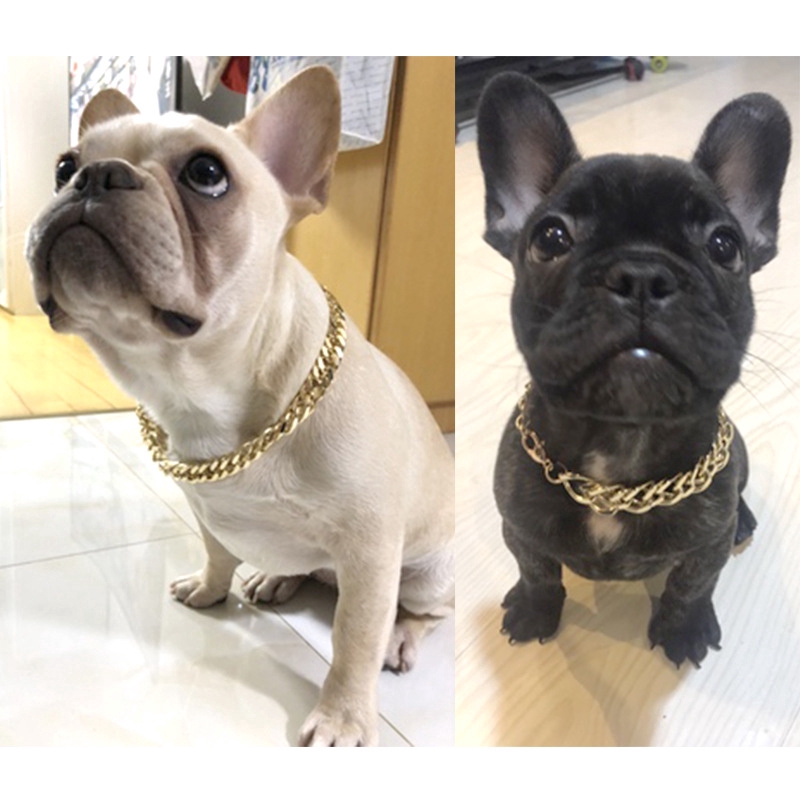 bully dog collars